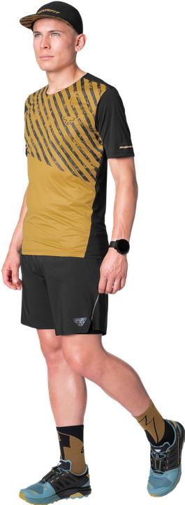 Immagine prodotto Dynafit Alpine Shirt Herren (XL)