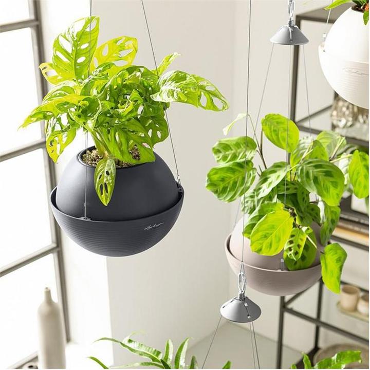 Produktbild Lechuza Bola Color 32 (32 cm)