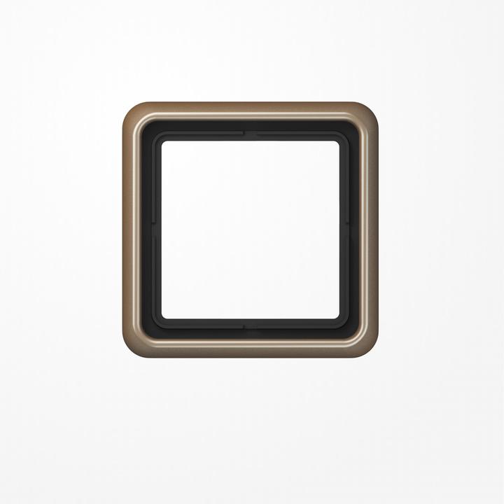 Actual product image JUNG Frame