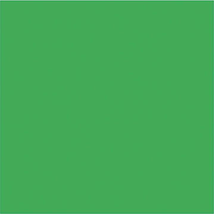 Image du produit Creativ Company Peinture pour tissu Vert, 300ml (Vert, 300 ml)