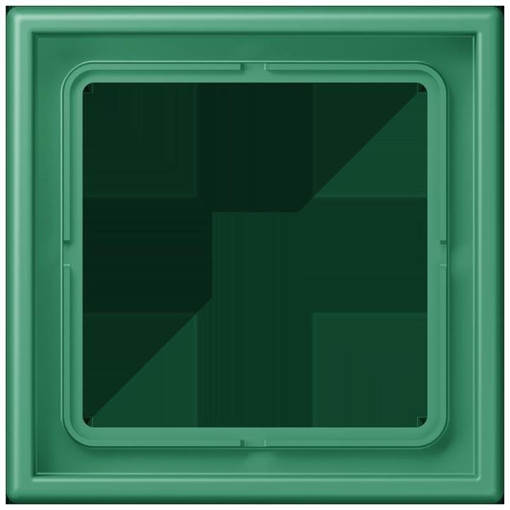 Actual product image JUNG Frame