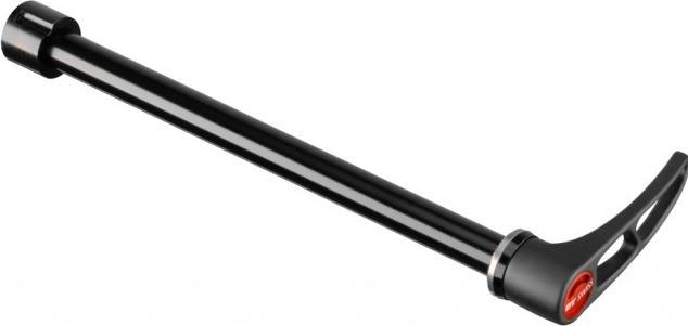 Actual product image DT Swiss Rws