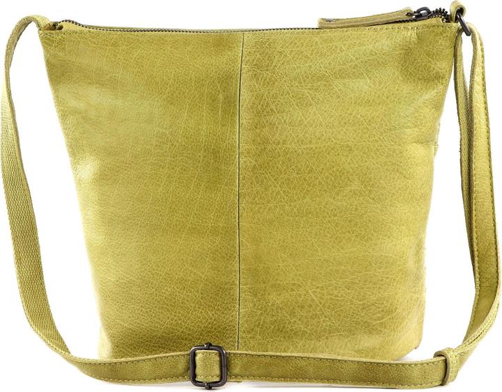 Muschio giallo chiaro