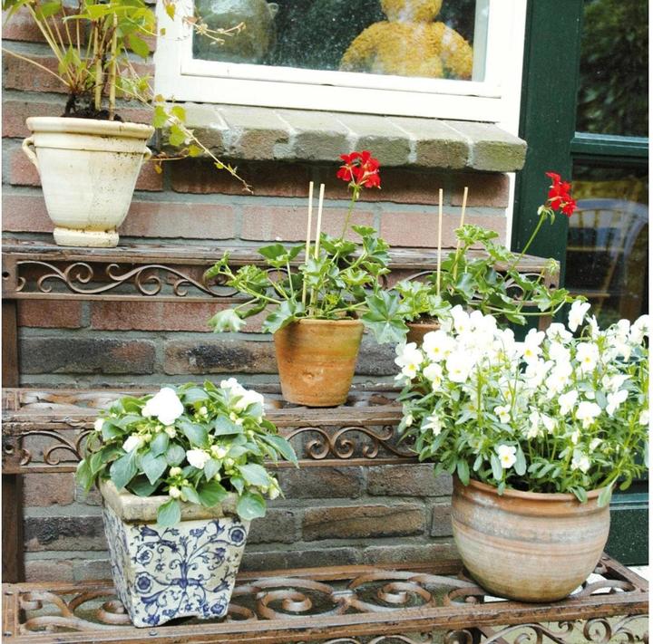 Immagine prodotto Esschert Design Blumentreppe aus Gusseisen, rechteckig