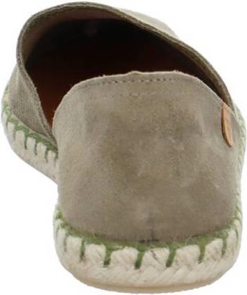 Actual product image Verbenas Carmen (37)