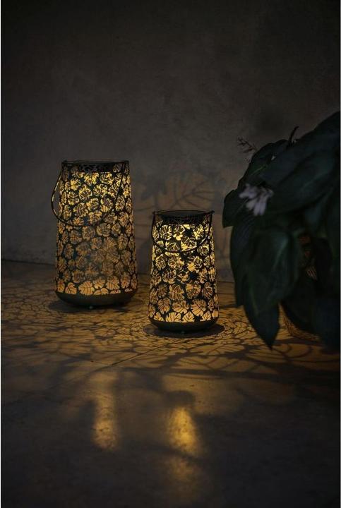 Image du produit STT Lumière solaire