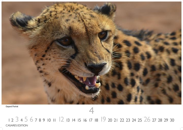 Produktbild Namibia 2026 L 35x50cm