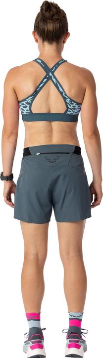 Produktbild Dynafit Alpine Graphic (XL)