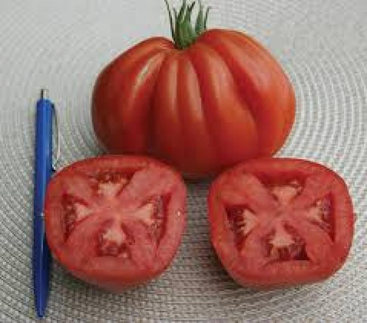 Produktbild Sativa Fleischtomate Ochsenherz (Gemüsesamen)