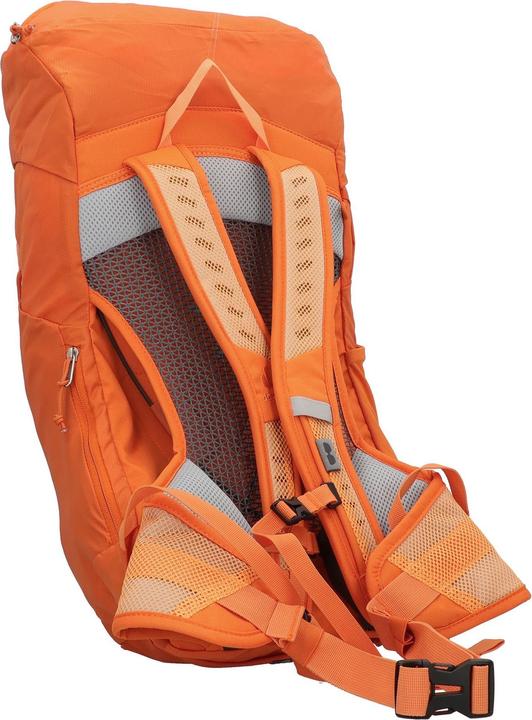 Image du produit Deuter AC Lite 22 (22 l)