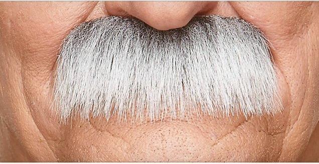 Produktbild Metamorph Walross Schnurrbart