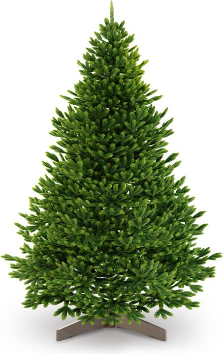 Artitree Weihnachtsbaum 210 cm mit FSC-Holzständer (210 cm)