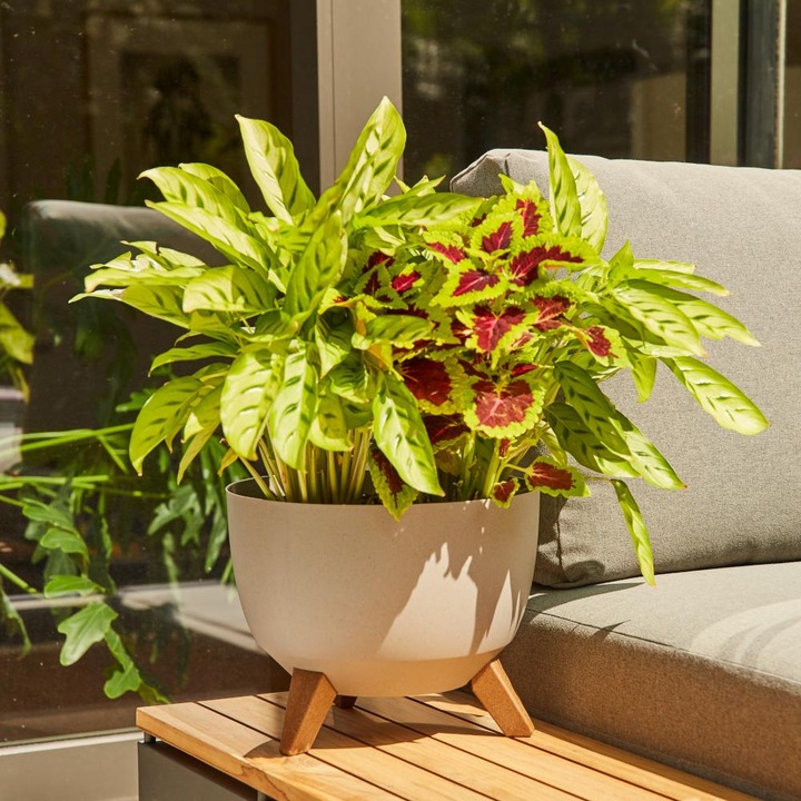 Produktbild Siena Garden Oslo (25 cm)