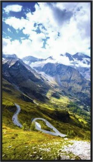 Actual product image Hisense Semi-Outdoor Display 49WF45H (1920 x 1080 pixels, 49")