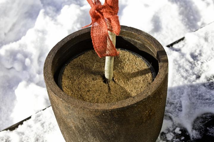 Produktbild Windhager Kokosschutz-Scheibe