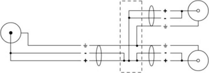 Actual product image Cordial 14891 Klinke / Cinch Audio Y-Adapter (1x Cinch-Stecker - 2x Cinch-Buchse (0.30 m, Cinch)