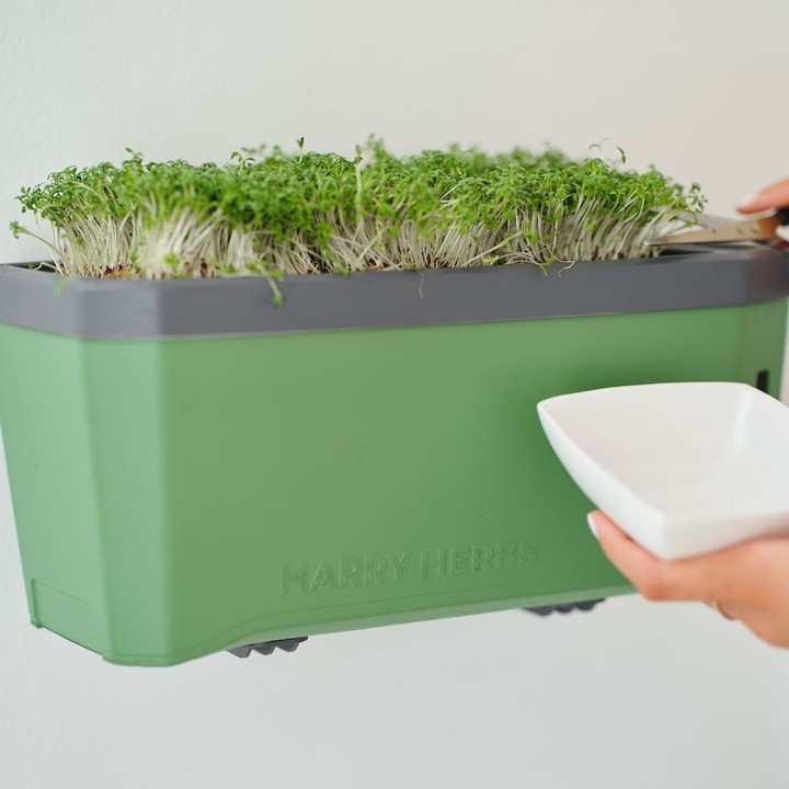 Immagine prodotto Gusta Garden Semi Microgreens Ravanelli HARRY HERBS (Germogli)