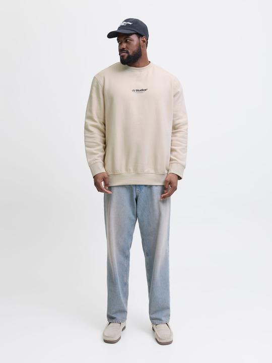 Actual product image Jack & Jones Plus Size Gedruckt Sweatshirt Sweatshirt (4XL)