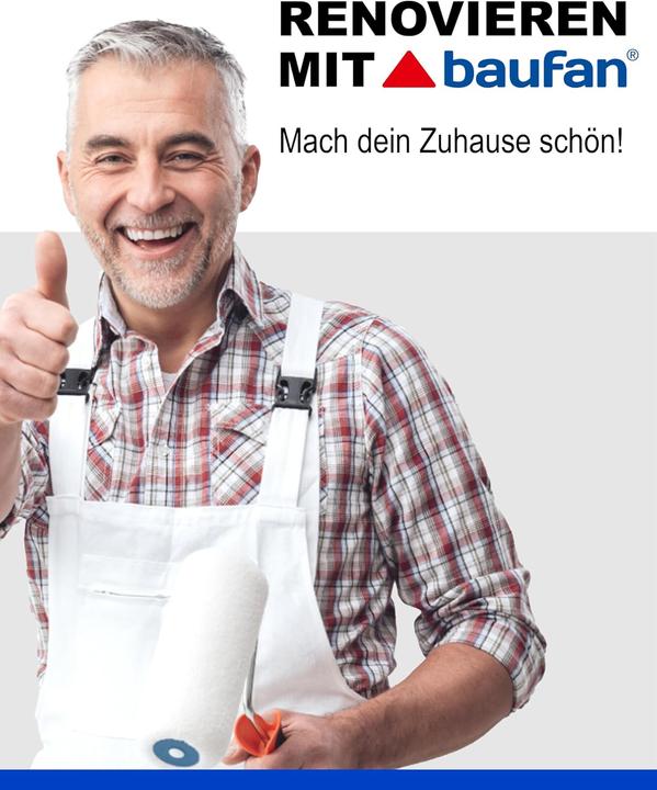 Image du produit Baufan Mastic prêt à l'emploi 400 g