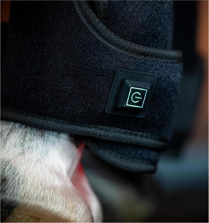 Image du produit Horseware LED