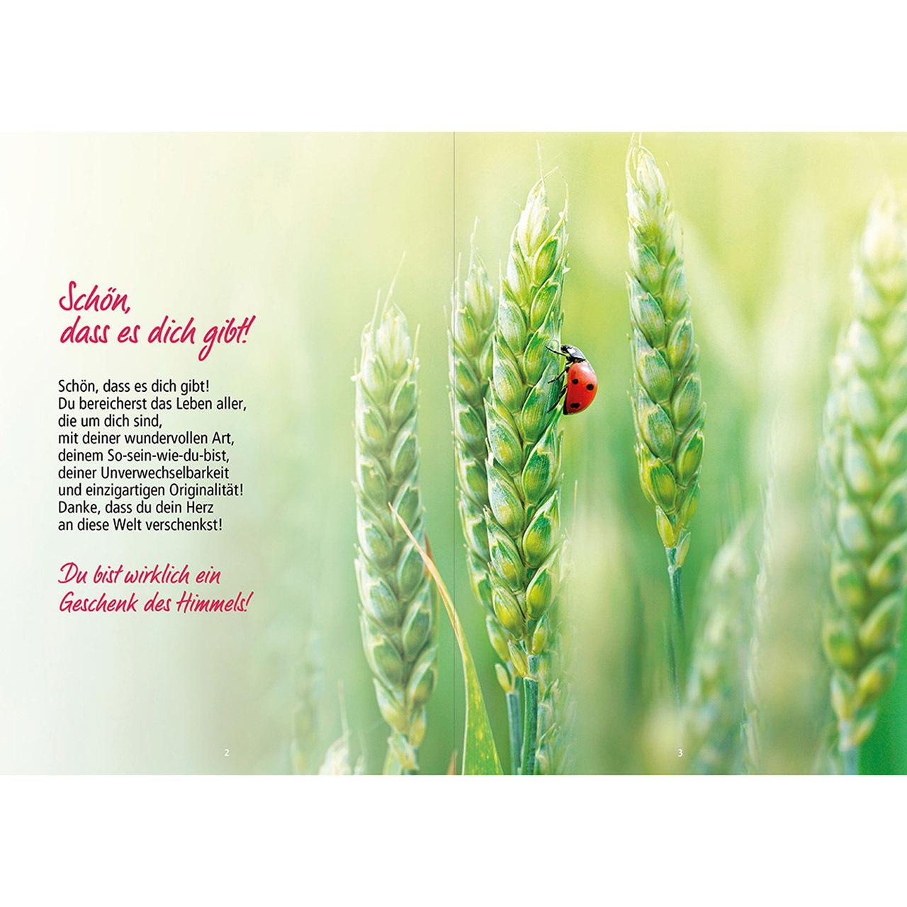 Thumbnail - So gut, dass es dich gibt!, Fachbücher von Doro Zachmann