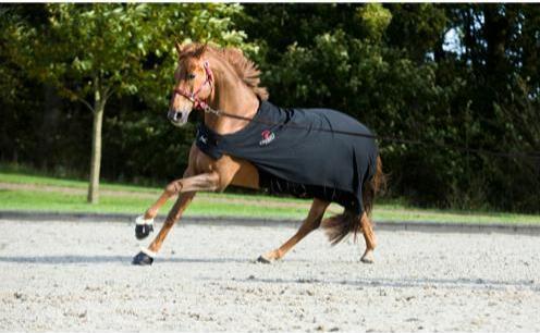 Produktbild Catago FIR-tech (135 cm)