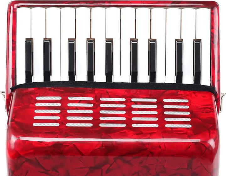 Produktbild Classic Cantabile Secondo Junior 8-Bass-Akkordeon für Kinder mit Trageriemen und Gigbag (Akkordeon)