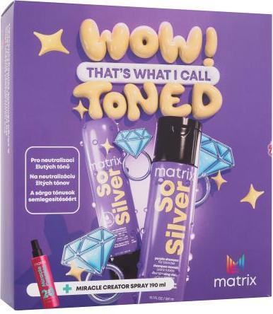 Produktbild Matrix So Silver (Haarpflege set)