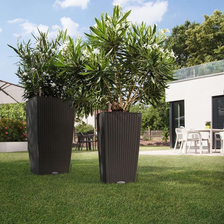 Actual product image Lechuza Cubico Cottage (39.50 cm)