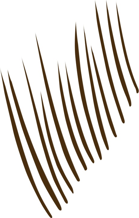 Actual product image NYX Professional Make-Up Lift & Snatch (Espresso)