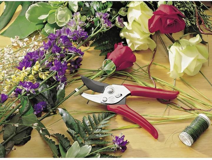 Actual product image Wolf-Garten RR-EN pruning shears bypass
