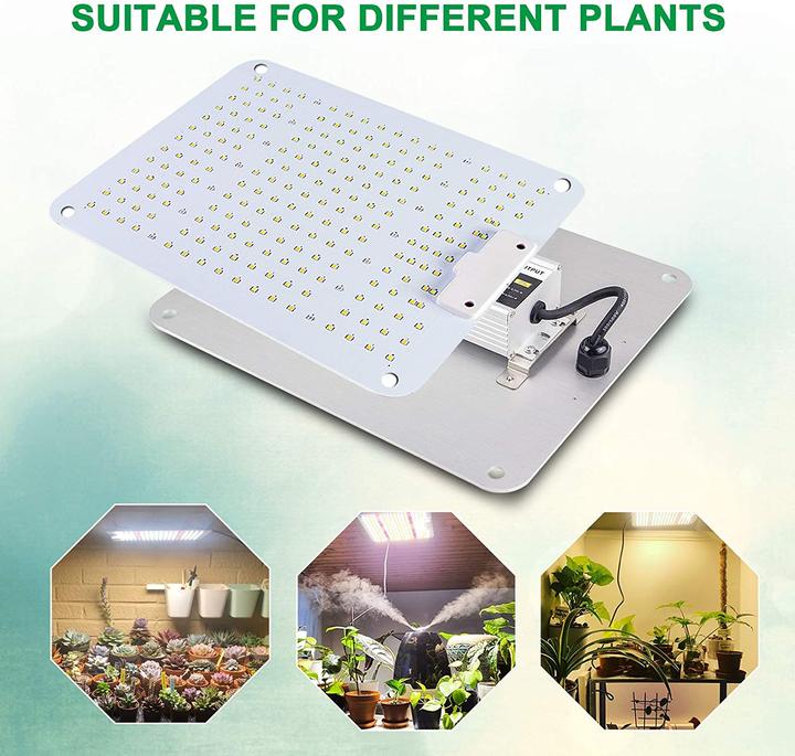 Actual product image Cokolila LED Grow Lamp 2000W (LED)