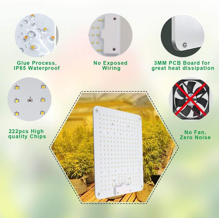 Actual product image Cokolila LED Grow Lamp 2000W (LED)