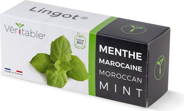 Immagine prodotto Véritable Menta marocchina (Semi di piante)