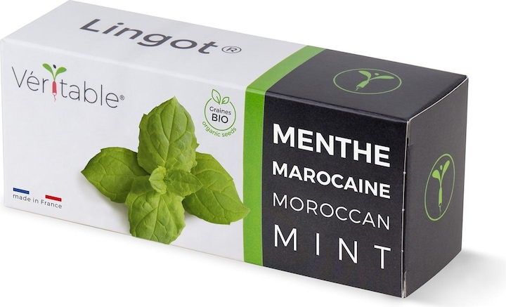 Actual product image Véritable Moroccan mint (Plant seeds)