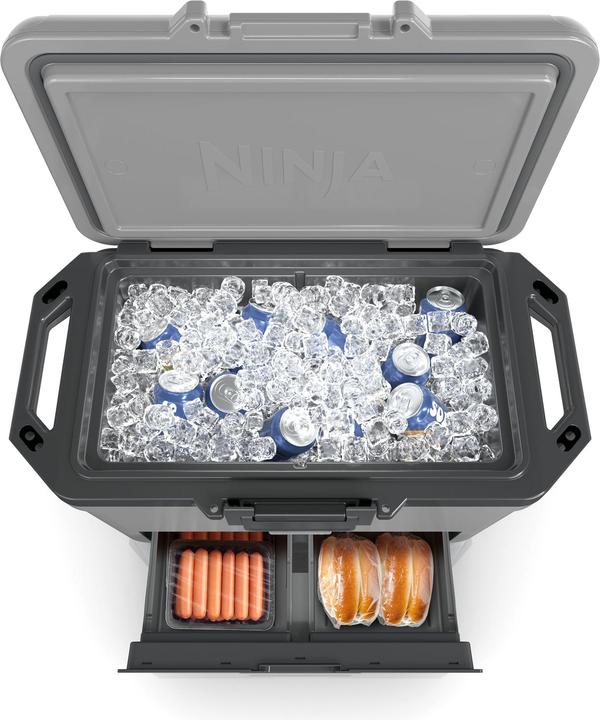 Actual product image Ninja FrostVault FB151EUGY (47 l)