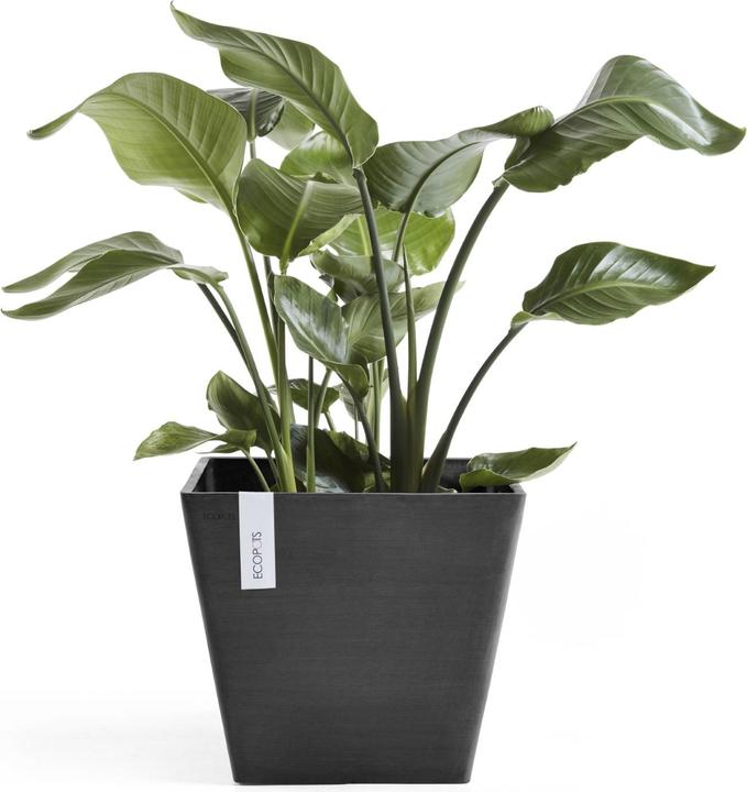 Immagine prodotto Ecopots Rotterdam (40 cm)