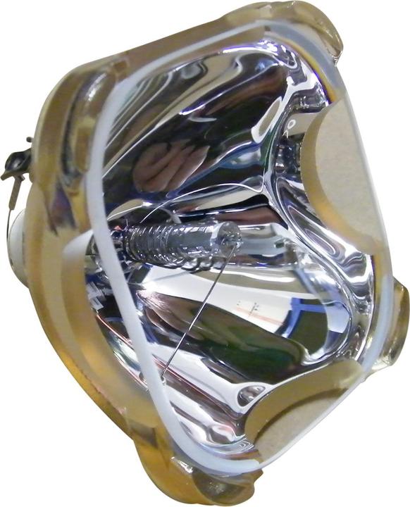 Philips Replacement lamp for SONY LMP-H202 (HW30ES, VPL-HW40ES, VPL-HW55ES, HW50ES, VPL-HW30ES SXRD, VPL-HW50ES, HW50, VPL-VW95ES, VPL-HW40, VPL-HW30ES, VPL-HW30)