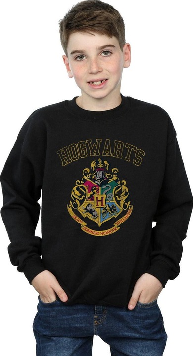 Actual product image Boys Varsity Style Crest Sweatshirt (116)