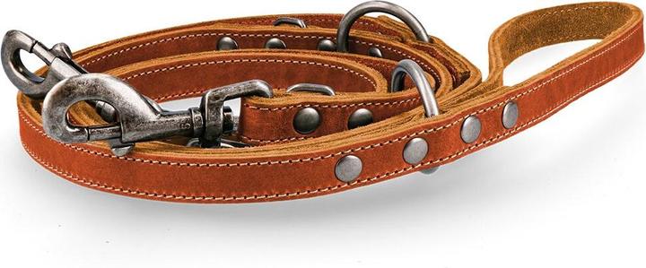 Spotted Pro Spotted! Pro Leder Trainingsleine Cognac 1,6x250cm (Agility)