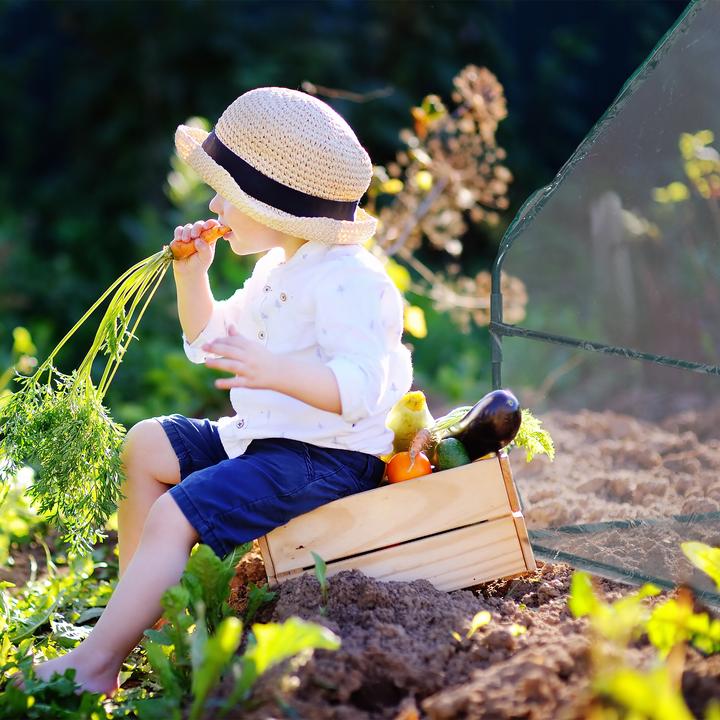 Produktbild Relaxdays Folienfrühbeet