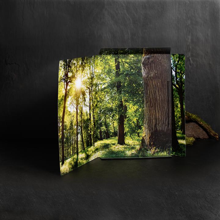 Actual product image HERMA A4 motif folder (A4, 1 x)