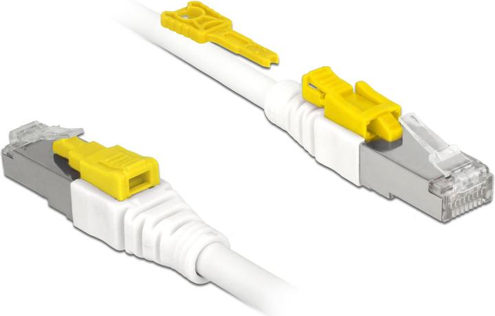 Image du produit Delock Câble patch : S/STP, 3m, blanc (S/STP, CAT6a, 3 m)