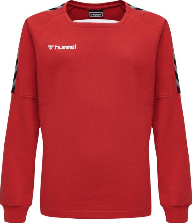 Produktbild hummel Authentic Kids Training Sweat (140)
