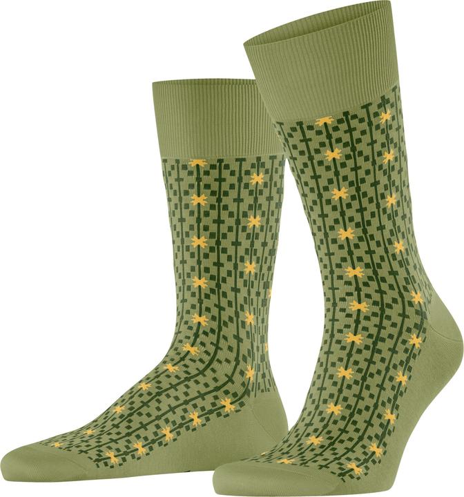 Ferngreen