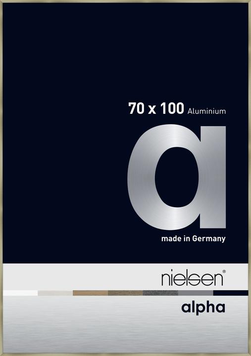 Brushed stainless steel