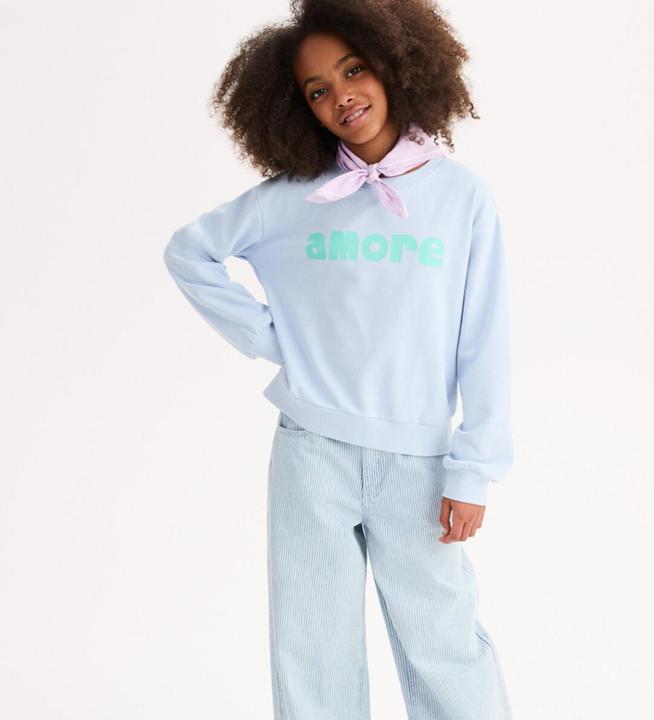 Produktbild La Redoute Collections Sweatshirt mit Rundhalsausschnitt aus Molton (134)