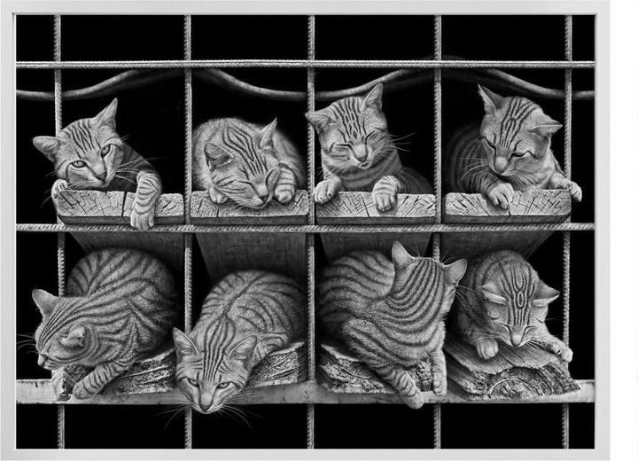 Produktbild Trenddeko Heine - Die Katze (50 x 40 cm)