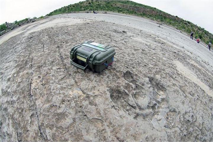 Produktbild Explorer Cases 3317HL Koffer Grün mit Schaumstoff (Fotokoffer, 13.10 l)