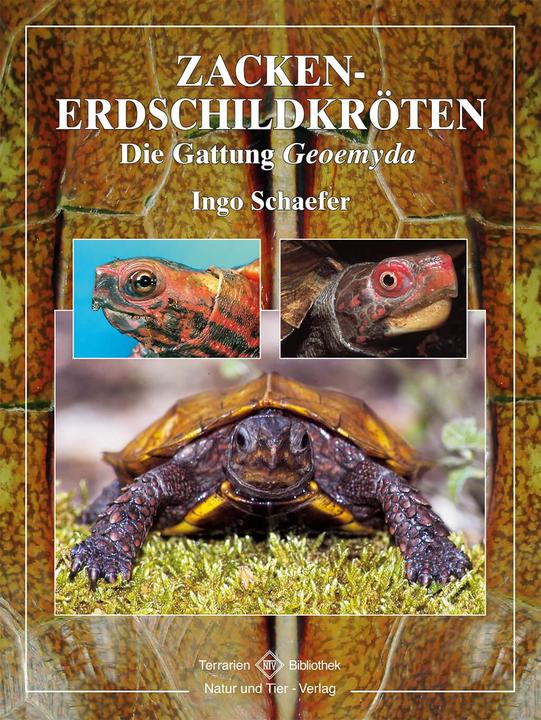 Produktbild Zacken-Erdschildkröten (Deutsch, Ingo Schaefer, 2005)